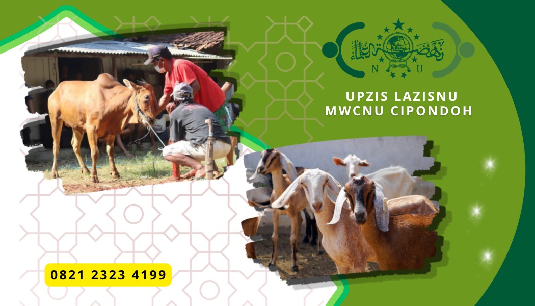 Qurban Patungan Jadi Ringan